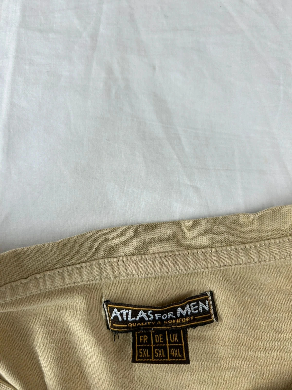 Beige vintage T-shirt atlas voor heren – photo 6